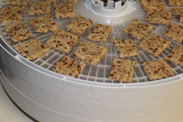 Crackers in the dehydrator